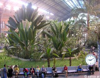 anklicken zum Vergr��ern - click to enlarge