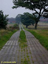 click to enlarge - anklicken zum Vergroessern